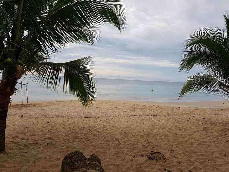 Cabinas Hukats Secret Jungle Puerto Viejo de Talamanca Zewnętrze zdjęcie